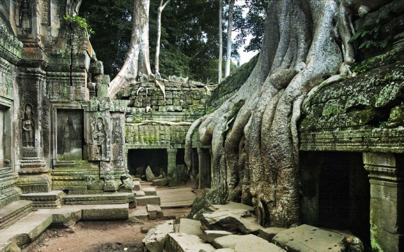 Ta Prohm - Tour in Siem Reap Cambodia Ta Prohm - Tour in Siem Reap Cambodia