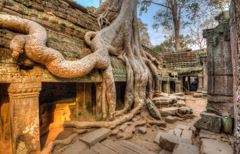 Ta Prohm - 3D2N tour in Siem Reap Cambodia Ta Prohm - 3D2N tour in Siem Reap Cambodia