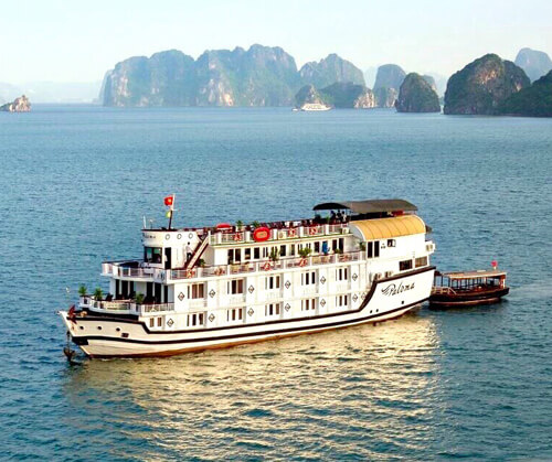 Paloma Cruise
