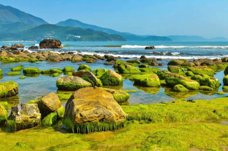 Nam O Reef